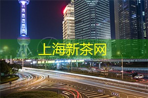 艺术与科技的结合：在上海的展览